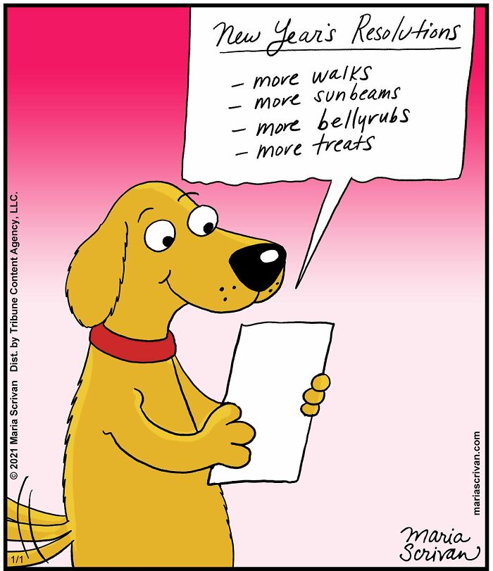 Artist Showcases The Absurdities Of Life In Fun One-Panel Comics (New Pics)