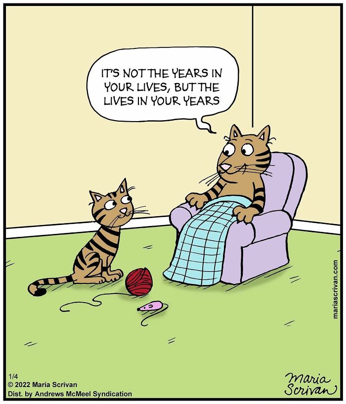 Artist Showcases The Absurdities Of Life In Fun One-Panel Comics (New Pics)