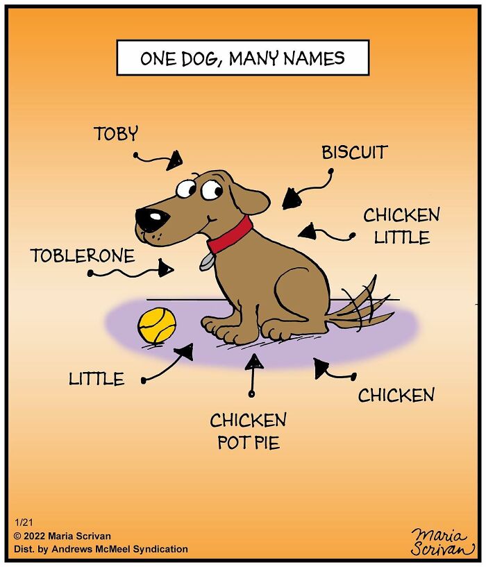 Artist Showcases The Absurdities Of Life In Fun One-Panel Comics (New Pics)