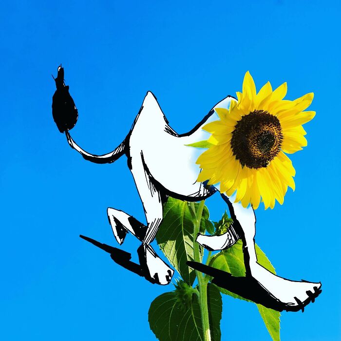 Artist Turns Any Object Into Fun Illustrations( New Pics)