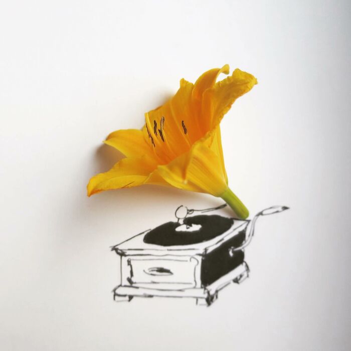 Artist Turns Any Object Into Fun Illustrations( New Pics)