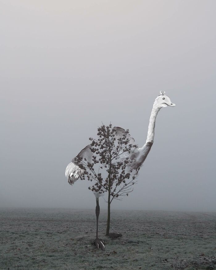 Artist Turns Any Object Into Fun Illustrations( New Pics)