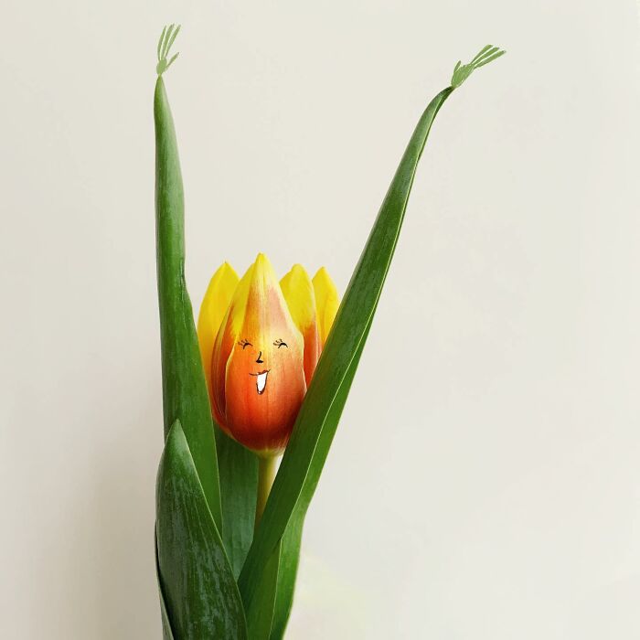 Artist Turns Any Object Into Fun Illustrations( New Pics)