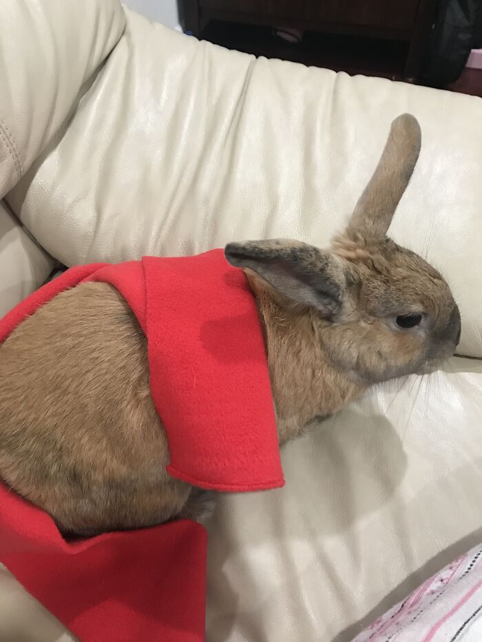 Some Aren’t Of Her Sleeping But I Hope You Like It