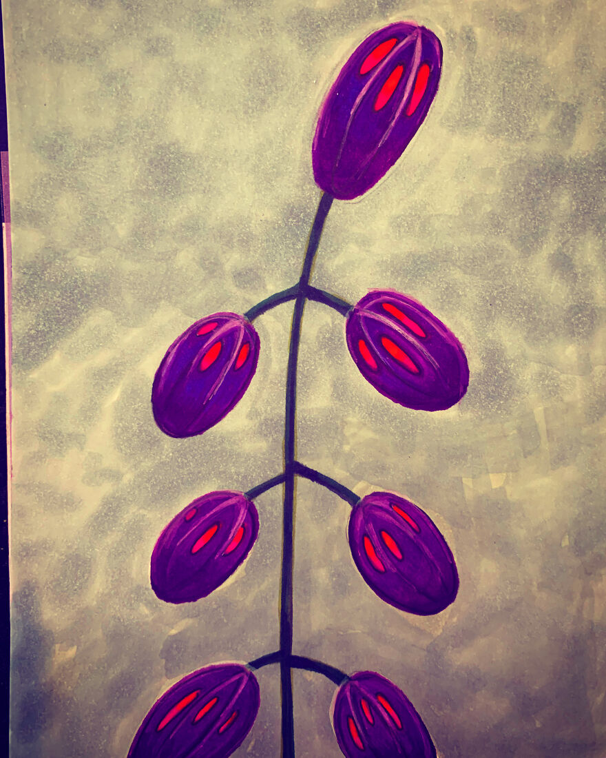 I Drew A Flower Every Day For A Year, And Here Are 40 Of My Best Works