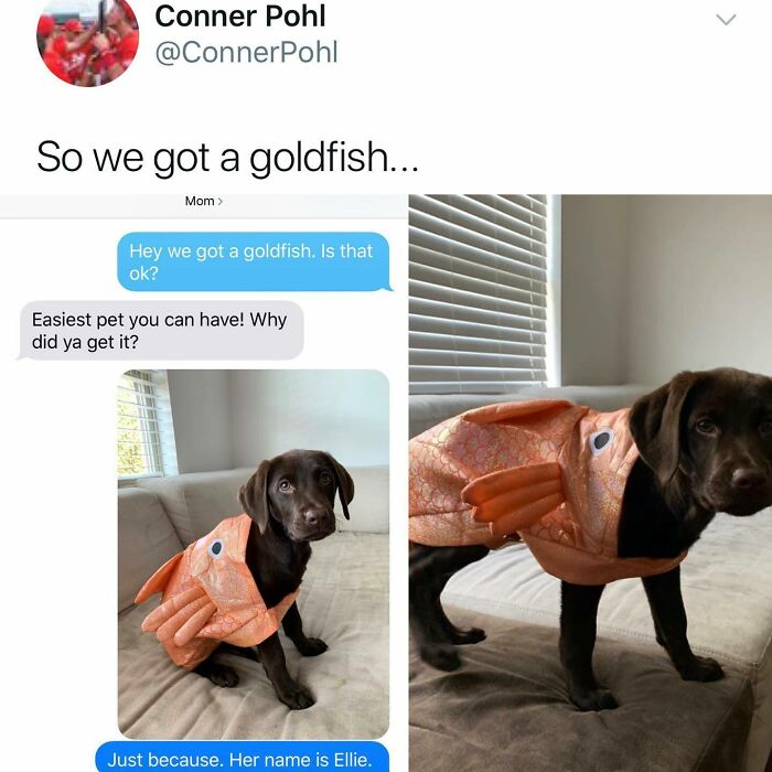 Wholesome-Memes-Kalesalad