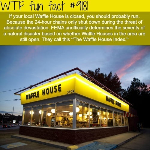 Weird-Fun-Facts