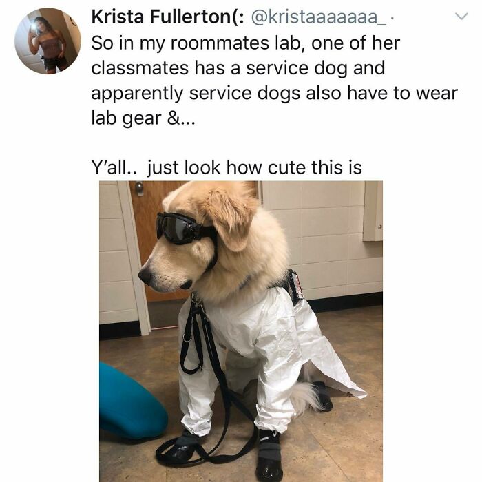 Y The Hell Haven’t U Followed @kalesaladanimals Yet