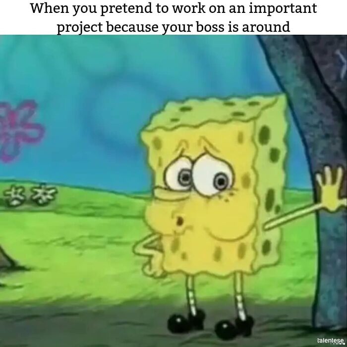 Funny-Work-Memes-Yourdayatwork