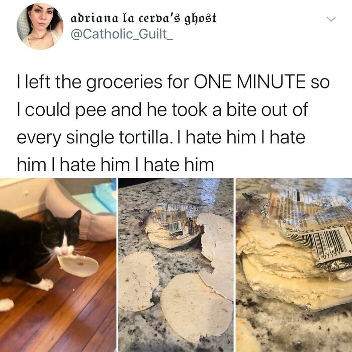 You Always See @kalesalad And Now It’s Time You Finally@follow!!!!