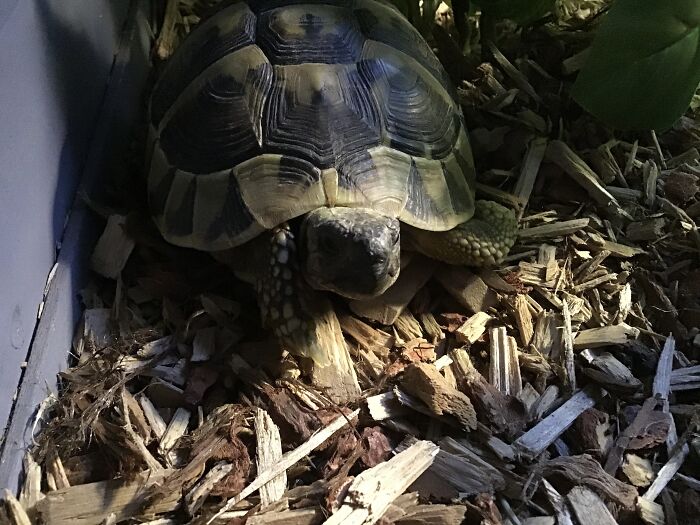 We Picked Her Up On My Birthday.