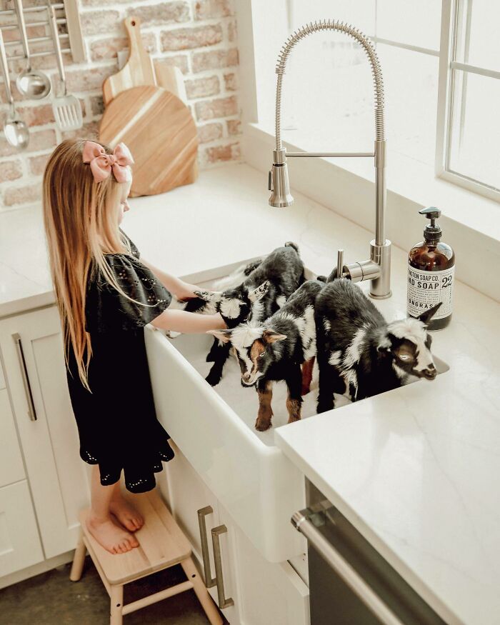 We’ve Had Our Hands Full Over Here With 4 New Kids