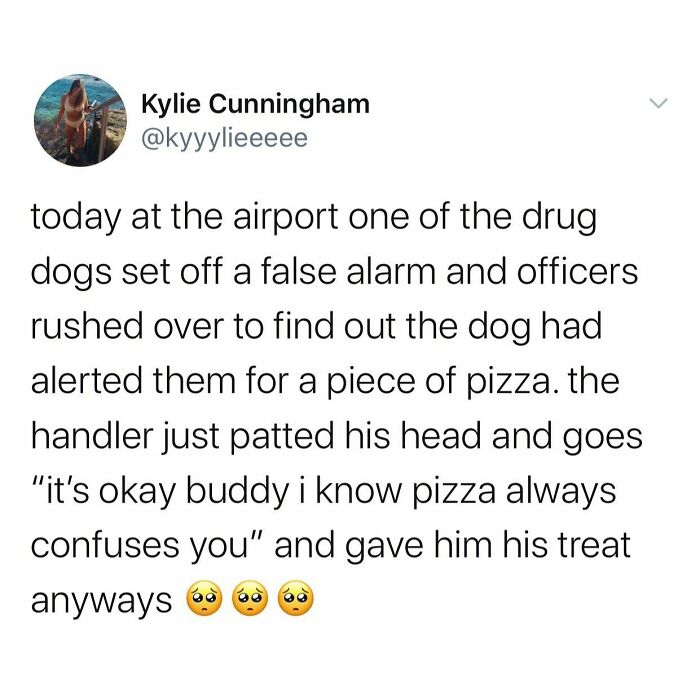 Wholesome-Memes-Kalesalad