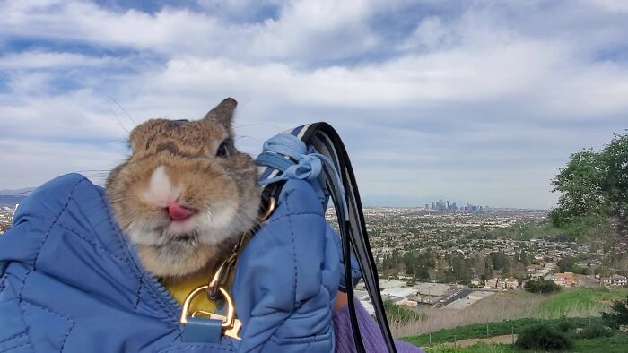 Love Hiking, Let Me Taste The Air