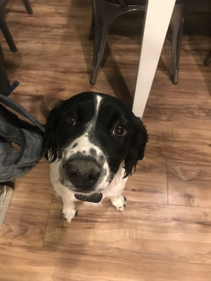 My Bestie (She Is Almost One)