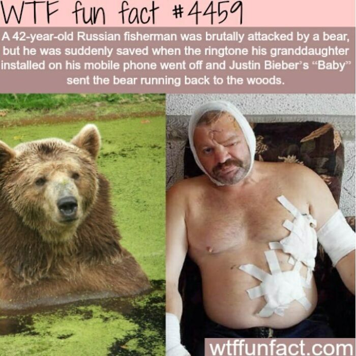 Weird-Fun-Facts