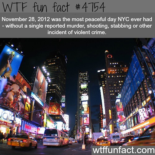 Weird-Fun-Facts