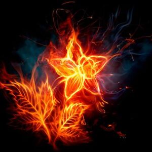 cassandrawintersmith avatar