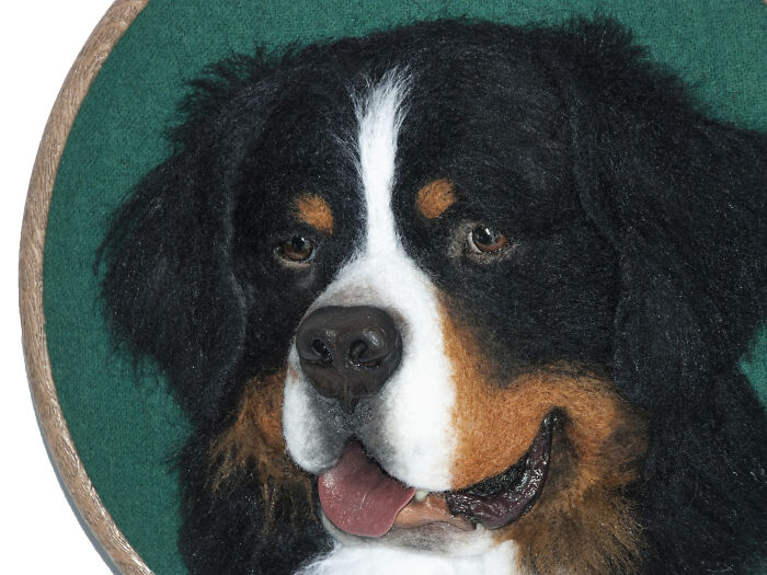 These Realistic Animal Faces Delight Some, Horrify Others. But These Portraits Do Not Leave Anyone Indifferent