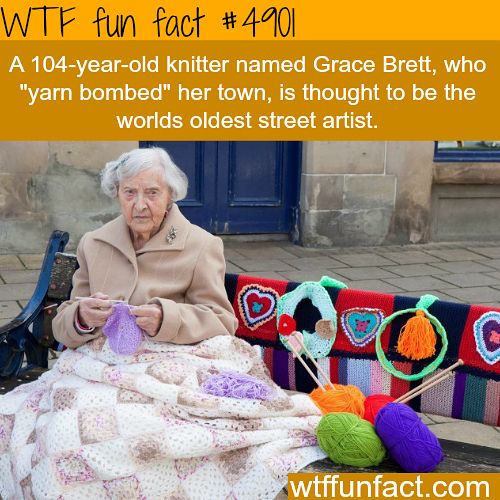 Weird-Fun-Facts