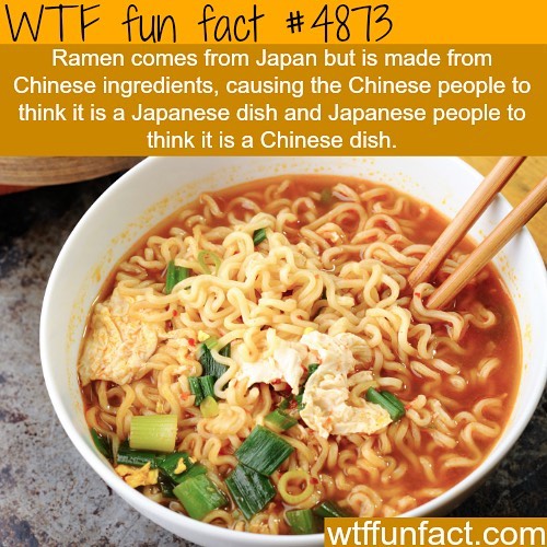Weird-Fun-Facts