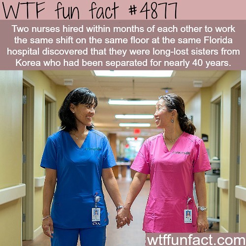 Weird-Fun-Facts