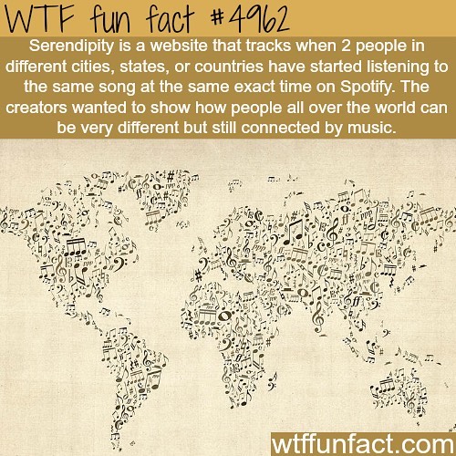 Weird-Fun-Facts