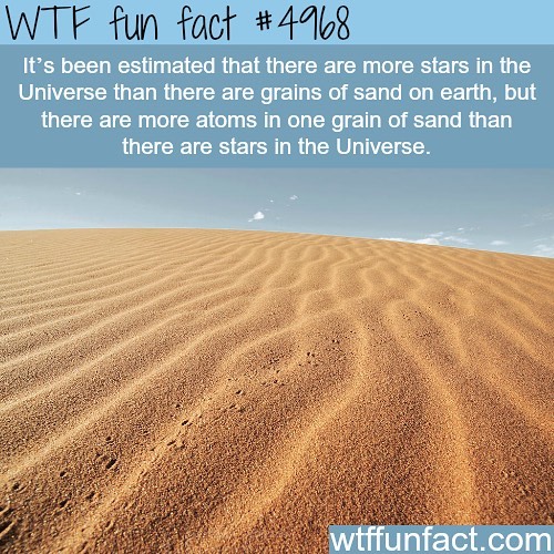 Weird-Fun-Facts