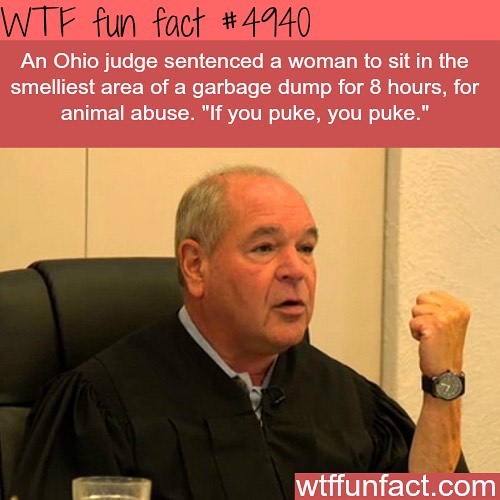 Weird-Fun-Facts