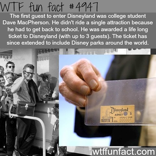 Weird-Fun-Facts