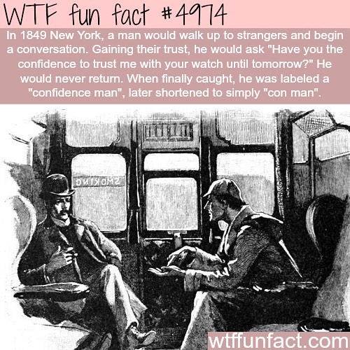 Weird-Fun-Facts