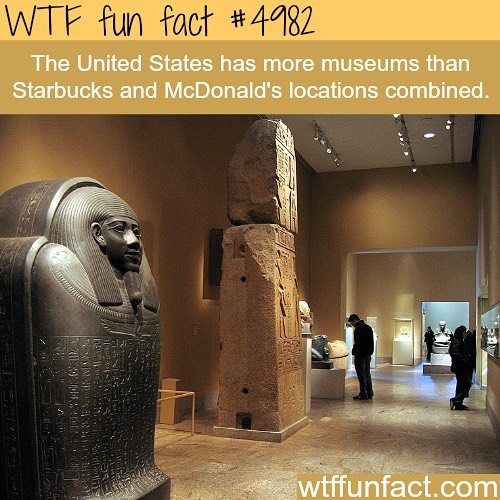 Weird-Fun-Facts