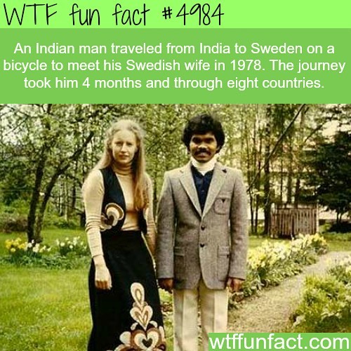 Weird-Fun-Facts