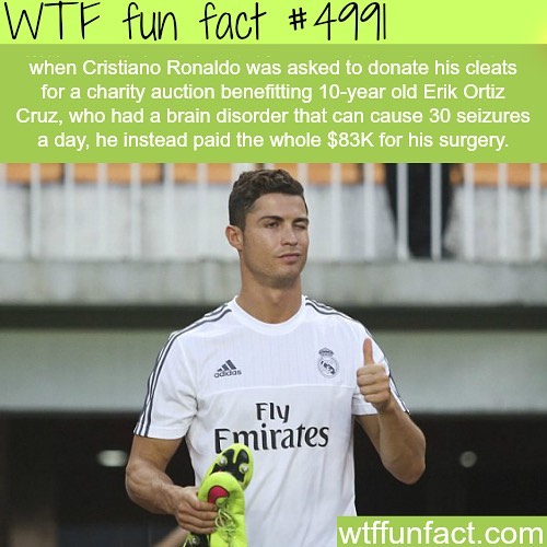 Weird-Fun-Facts