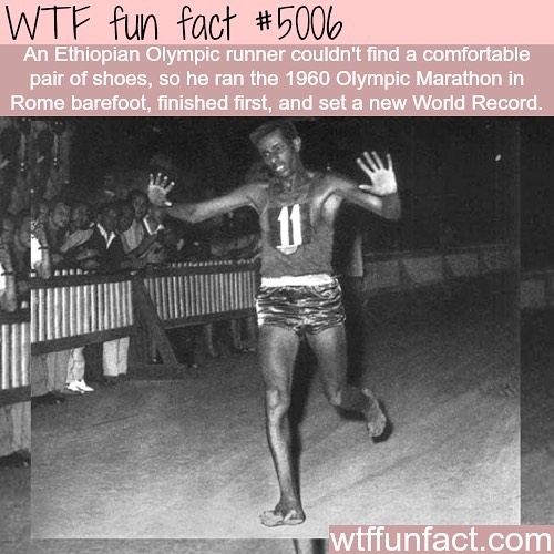 Weird-Fun-Facts
