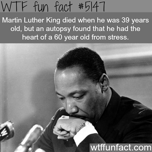 Weird-Fun-Facts