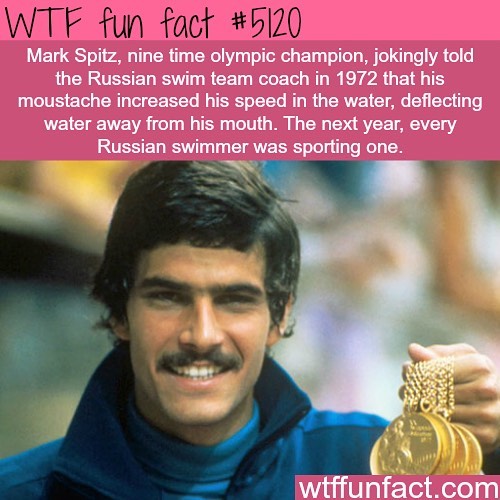 Weird-Fun-Facts