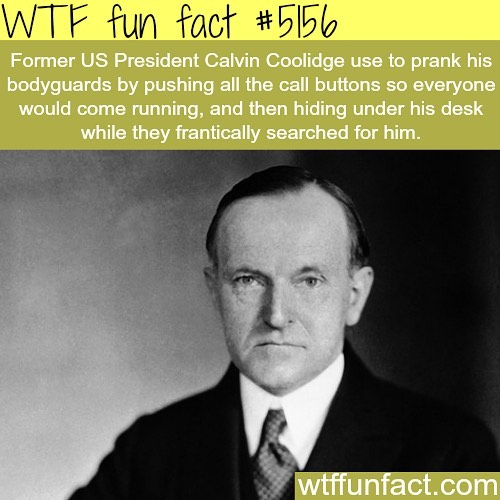 Weird-Fun-Facts