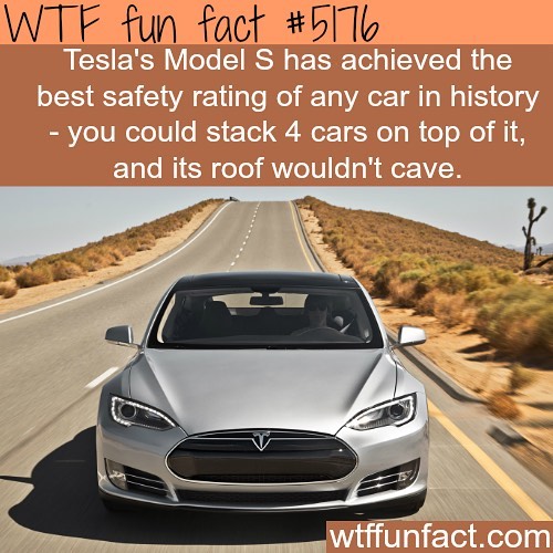 Weird-Fun-Facts