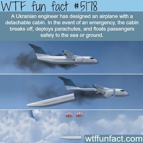 Weird-Fun-Facts