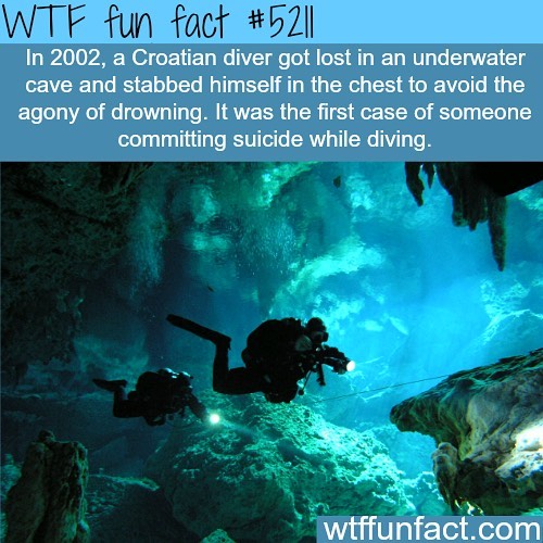 Weird-Fun-Facts
