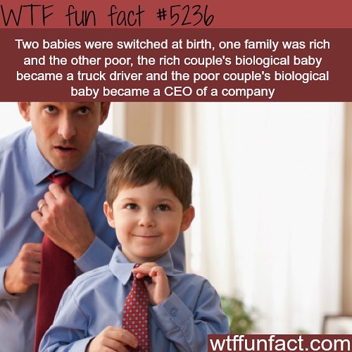 Weird-Fun-Facts