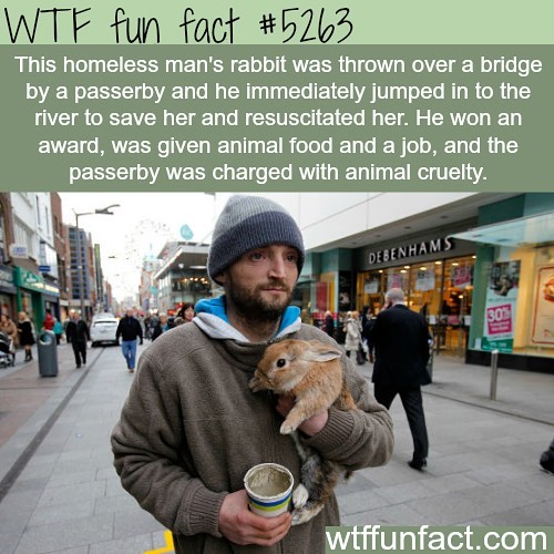 Weird-Fun-Facts
