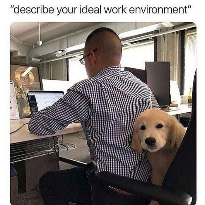 Funny-Work-Memes-Yourdayatwork
