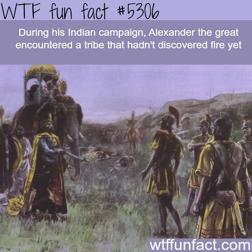Weird-Fun-Facts