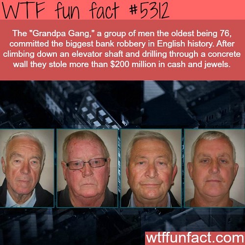Weird-Fun-Facts