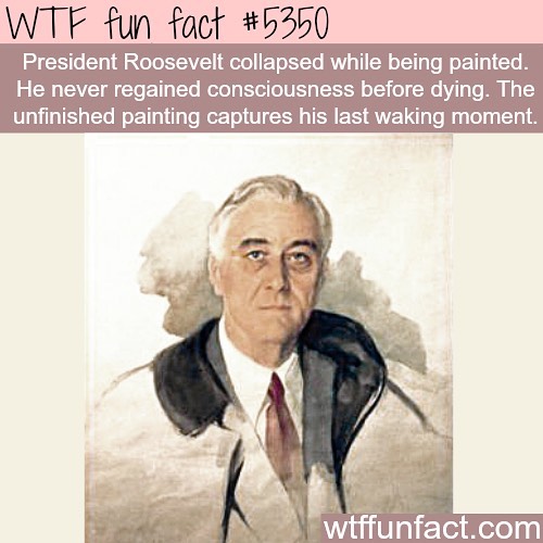 Weird-Fun-Facts