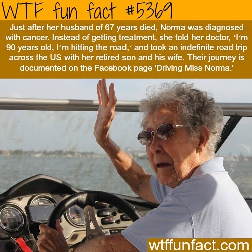 Weird-Fun-Facts