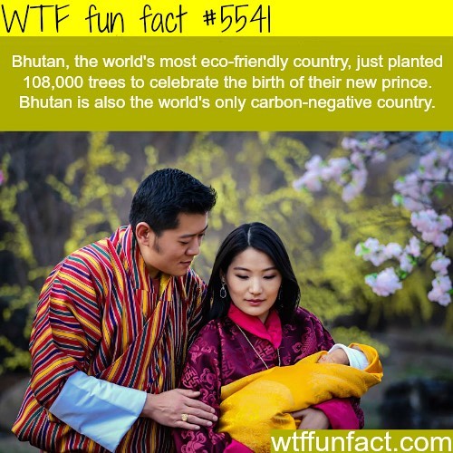 Weird-Fun-Facts