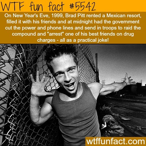 Weird-Fun-Facts